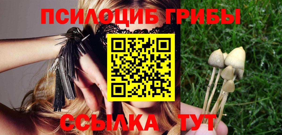 Псилоцибиновые грибы мухоморы Каменск-Шахтинский